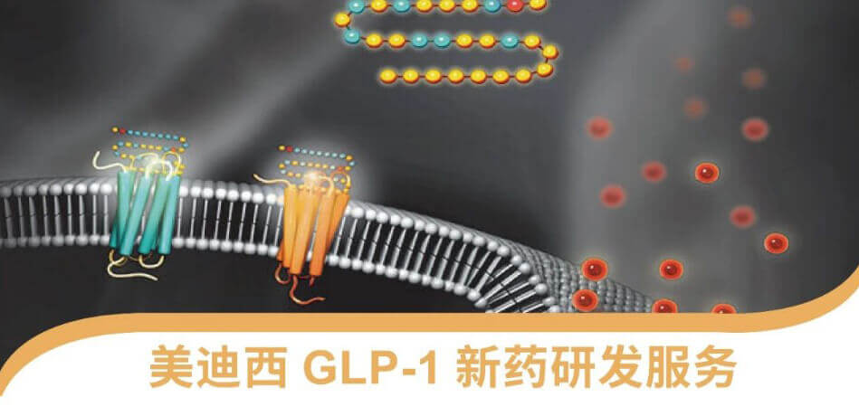 “GLP-1”新药研发效劳平台.jpg