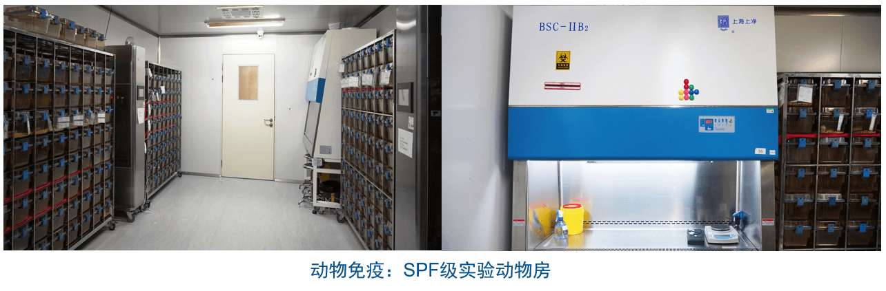 亿万先生mr杂交瘤手艺平台装备-动物免疫SPF级实验动物房