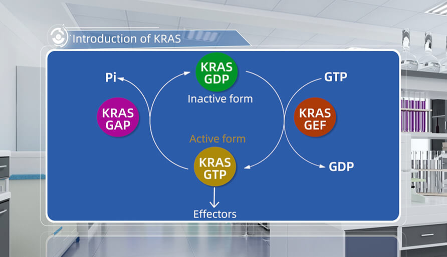 什么是KRAS？？？？？