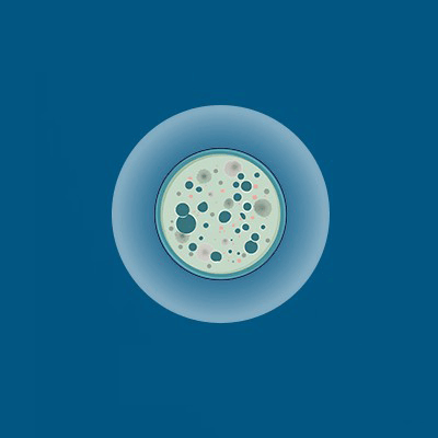 硒代氨基酸作育基