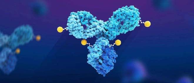 天下肿瘤日聚焦：AACR年会引领全球肿瘤新药趋势，，，，，，国产药引领风潮