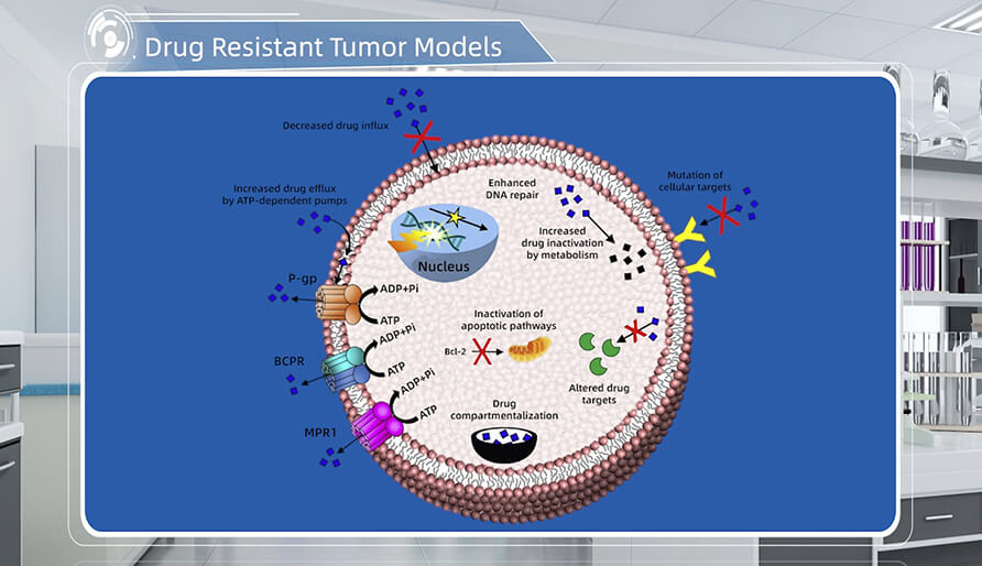 肿瘤耐药机制是什么？？？？？？？？