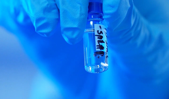 GLP-1“竞速赛”何以夺魁？？？？？？？