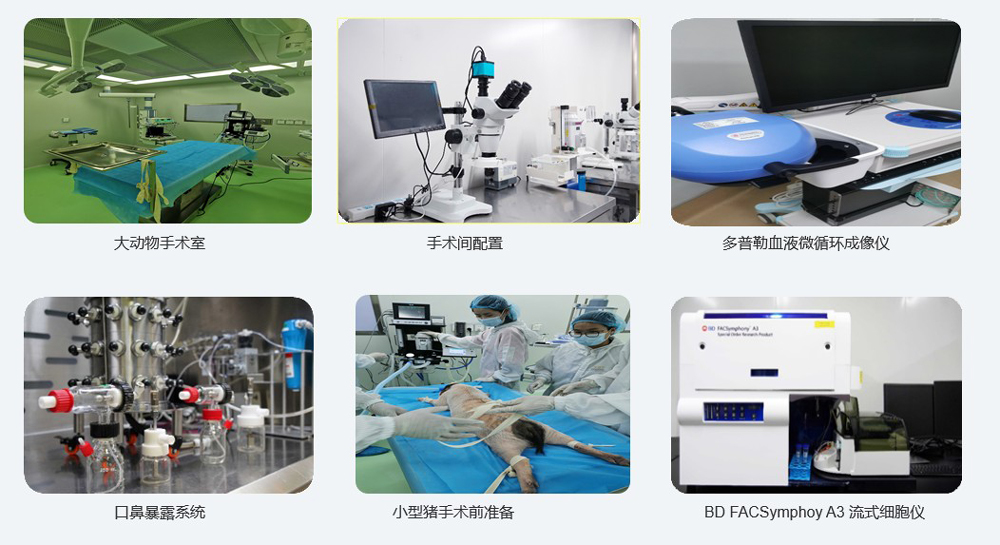 大动物实验仪器装备.jpg