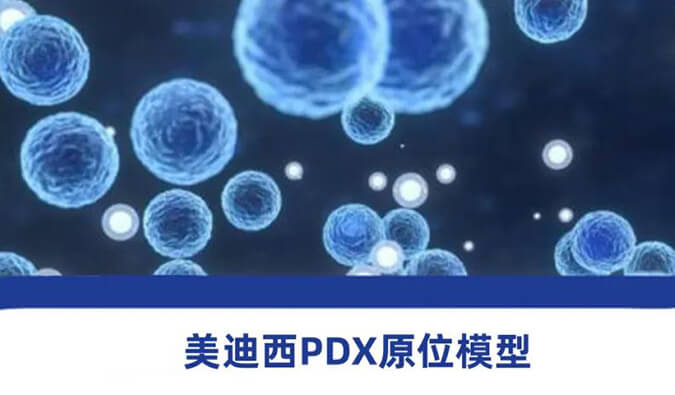 亿万先生mr118种PDX原位模子，，，，，助力肿瘤药物研发