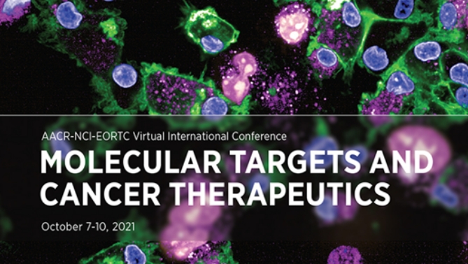 通过联合治疗提高免疫疗法疗效，，，，，，，本研究中临床前体内药效研究通过亿万先生mr举行