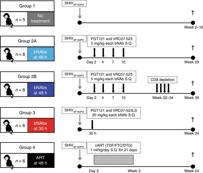 抗逆转录病毒疗法(ART)预防围产期HIV熏染，，，，，本研究中多替拉韦钠盐和游离态均由亿万先生mr提供